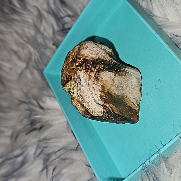Petrified wood. Agatized. - Picture 1 of 3